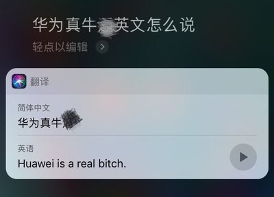 蘋(píng)果Siri曝侮辱性翻譯引眾怒及技術(shù)倫理的沉重邊界