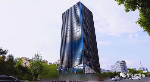 墊江 揚(yáng)帆啟航高新路，數(shù)字技術(shù)服務(wù)賦能縣域發(fā)展新篇章